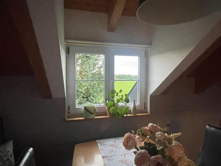 Panorama Saentisblick Apartment Hergatz Екстериор снимка