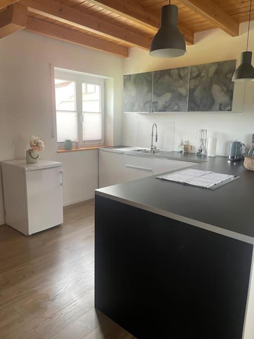 Panorama Saentisblick Apartment Hergatz Екстериор снимка