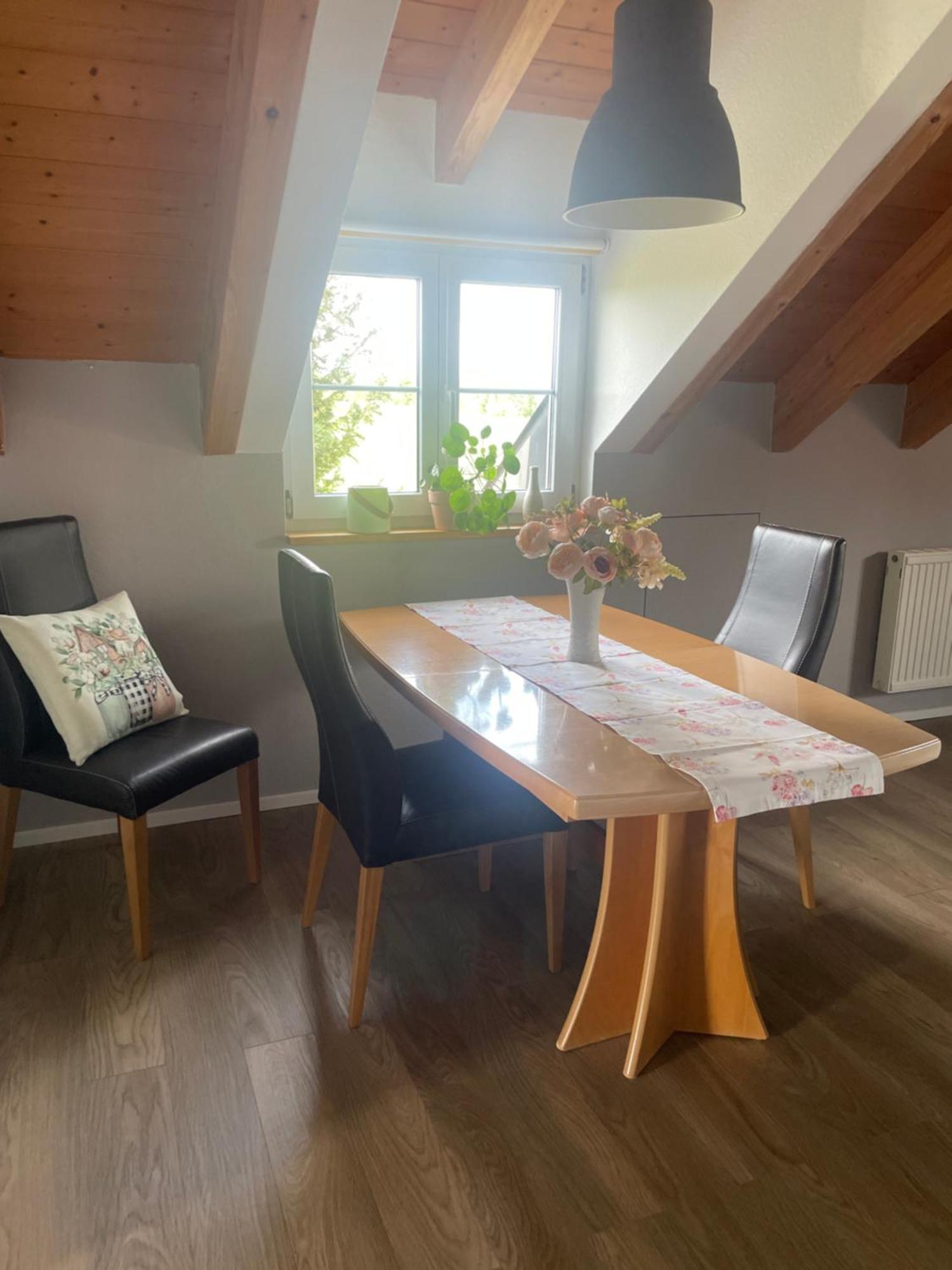 Panorama Saentisblick Apartment Hergatz Екстериор снимка